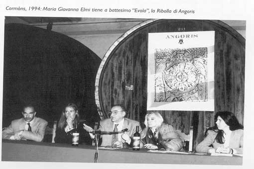 1994: la Ribolla (Evola) di Angoris