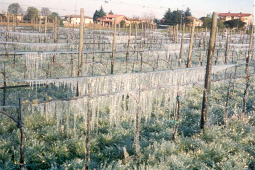 17 aprile 1997
Moraro: irrigazione a pioggia antibrina Az.Albertini