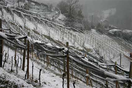 Ramandolo sotto la neve
